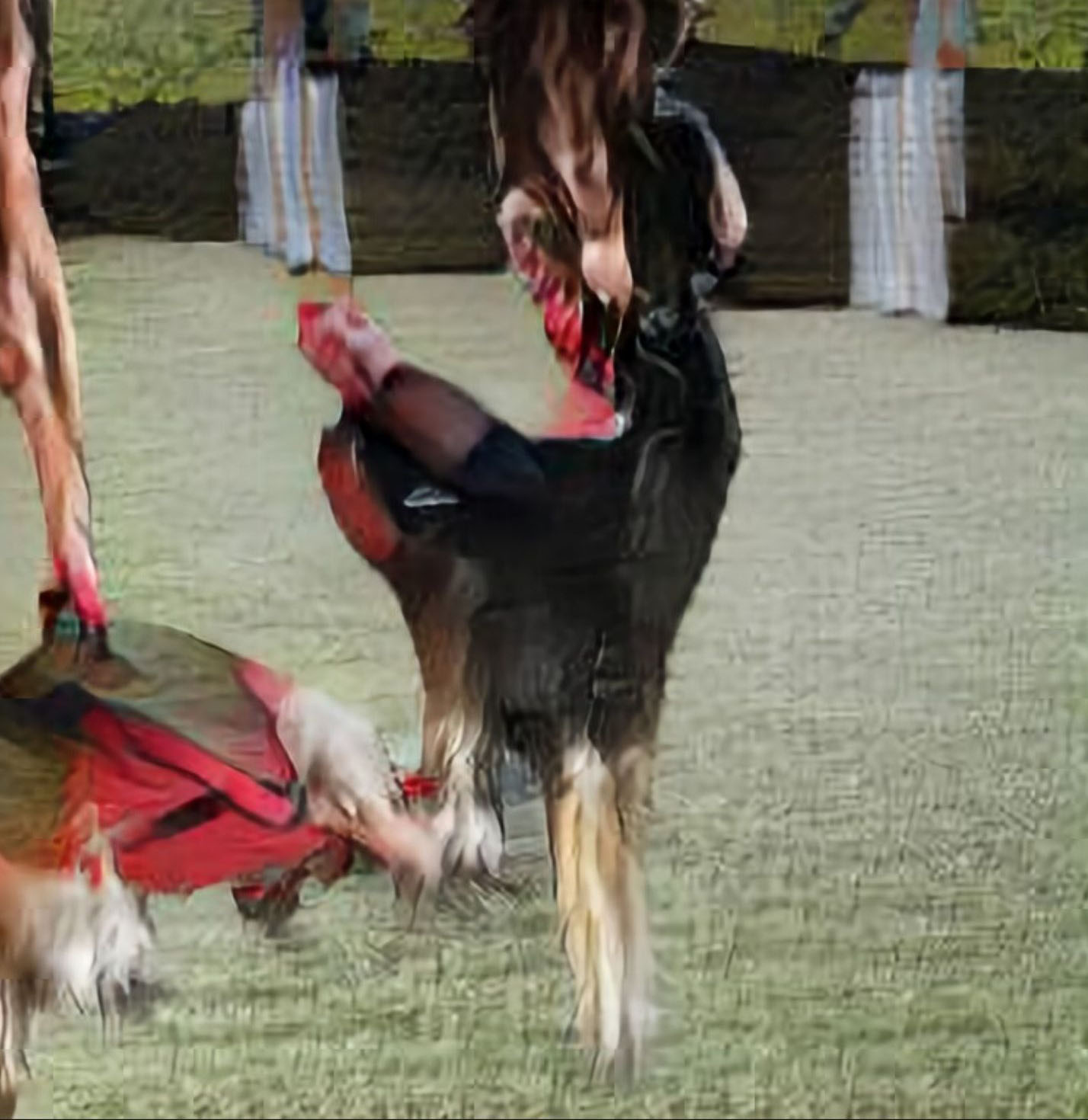 the same AI generated caption: A young girl is holding a teddy bear.