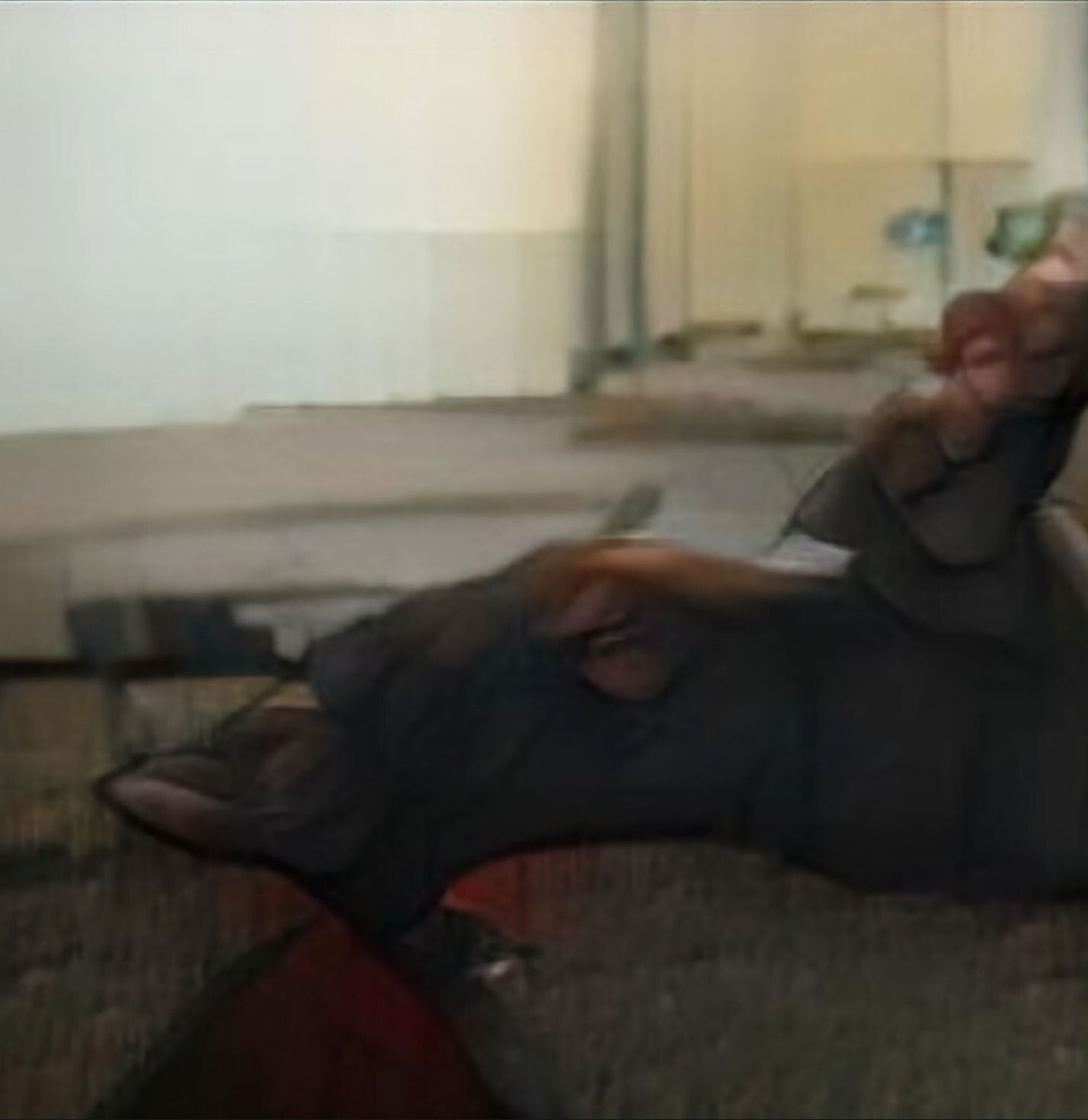 the same AI generated caption: A young girl is holding a teddy bear.