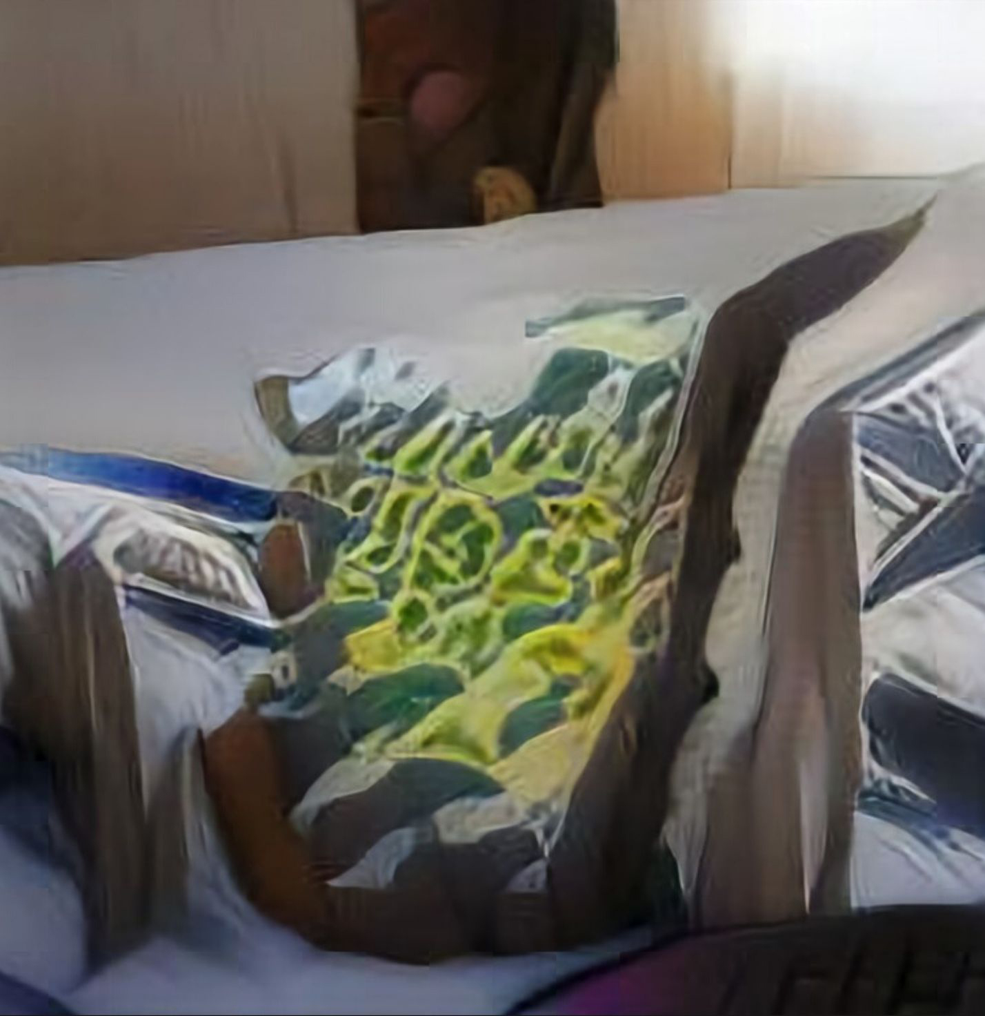 An AI generated artwork: A person laying in bed with a laptop.