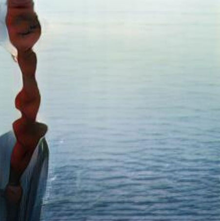 An AI generated artwork: A man is taking a picture of himself in the water.