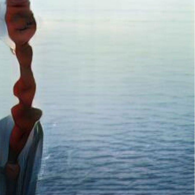 An AI generated artwork: A man is taking a picture of himself in the water.